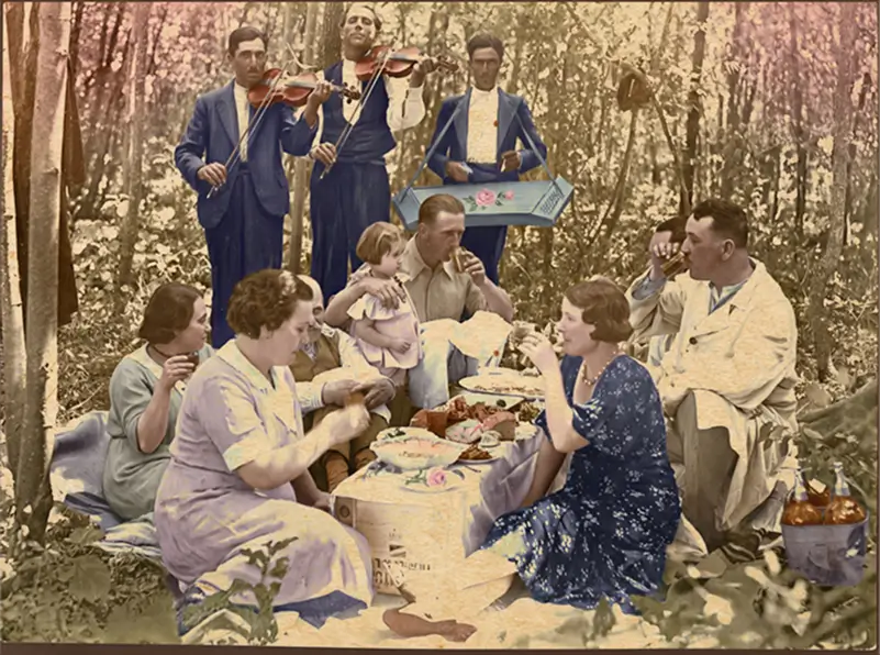 Picnic la grătar în pădurea Pustnicu